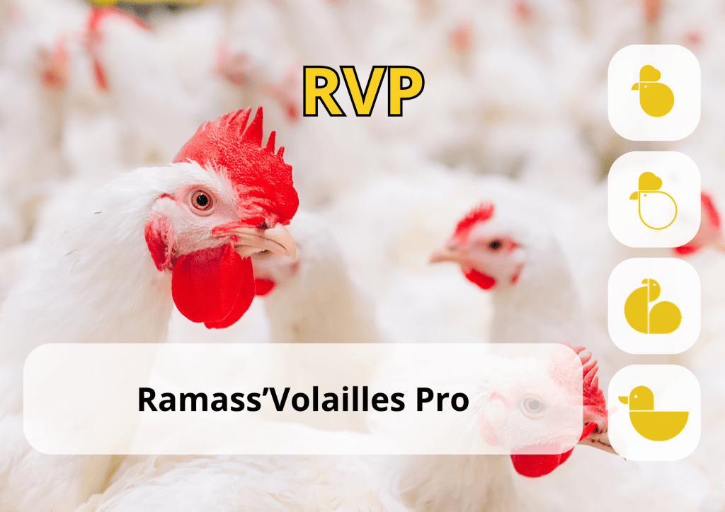 Bannière visuelle de présentation de la formation