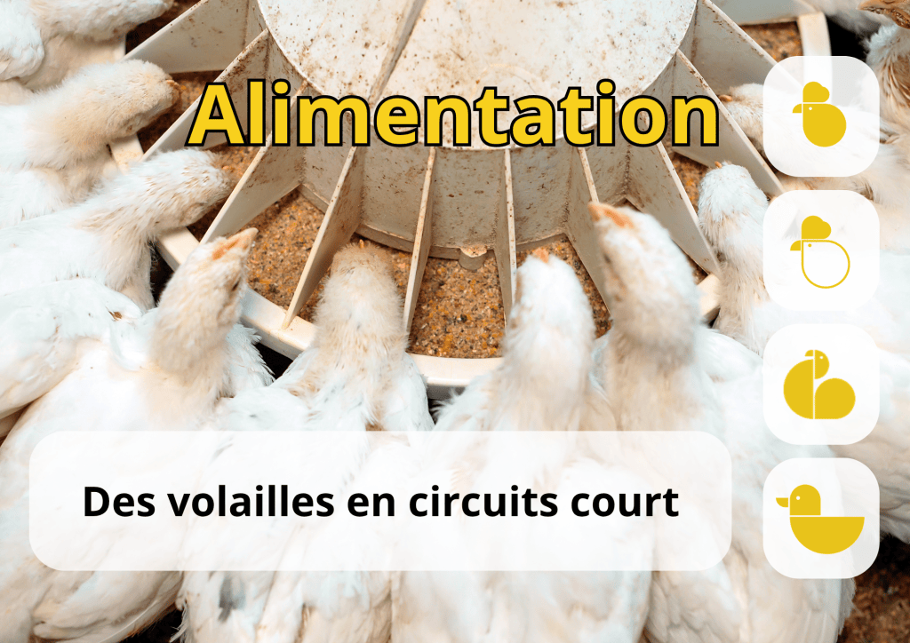 Bannière visuelle de présentation de la formation