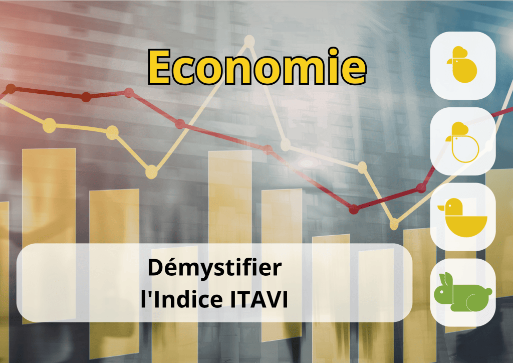 Bannière visuelle de présentation de la formation