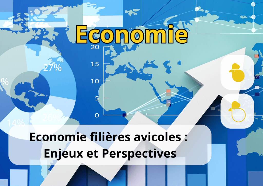 Bannière visuelle de présentation de la formation