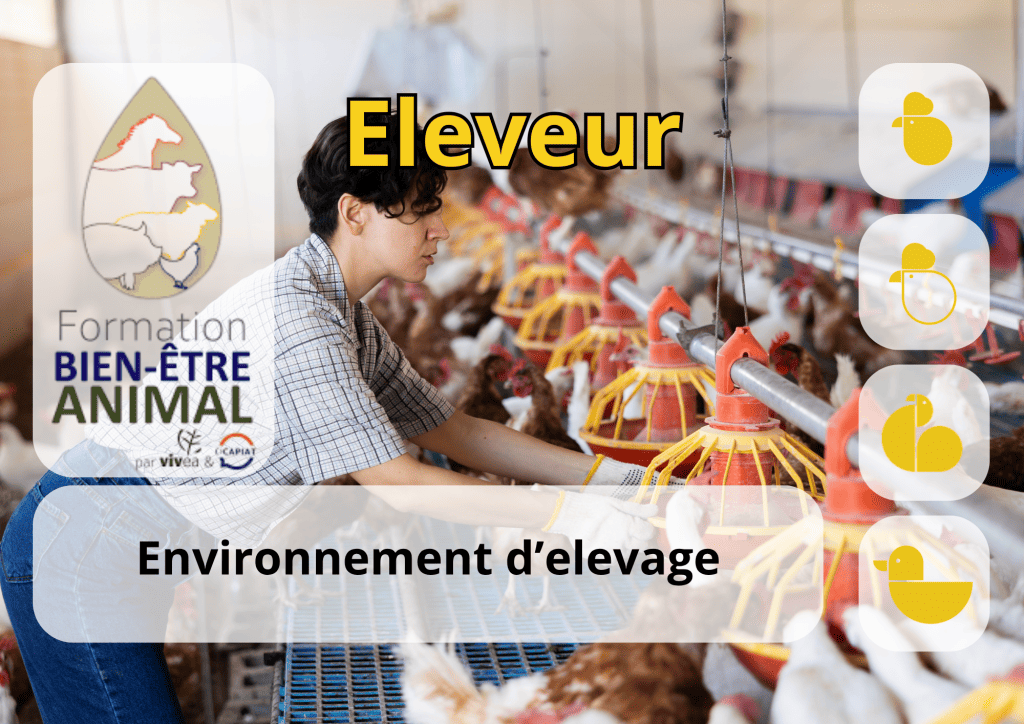 Bannière visuelle de présentation de la formation