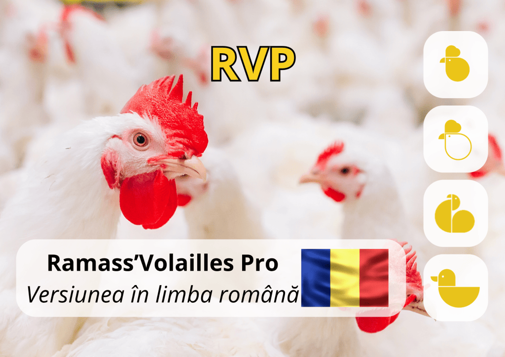 Bannière visuelle de présentation de la formation