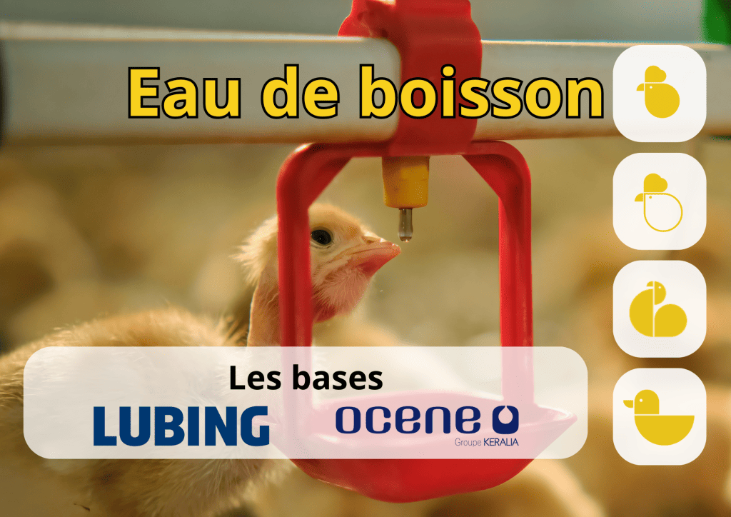 Bannière visuelle de présentation de la formation