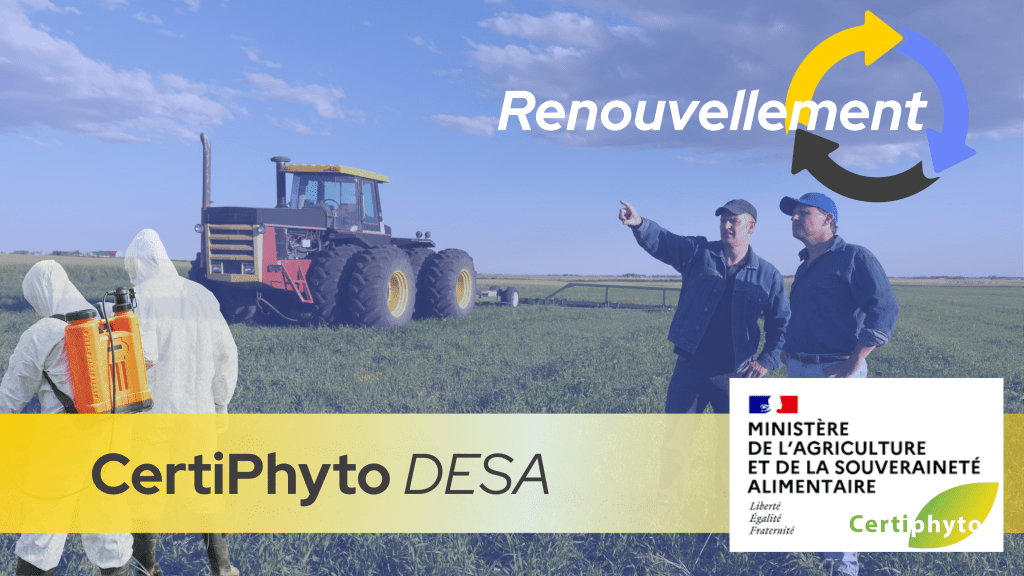 Bannière visuelle de présentation de la formation