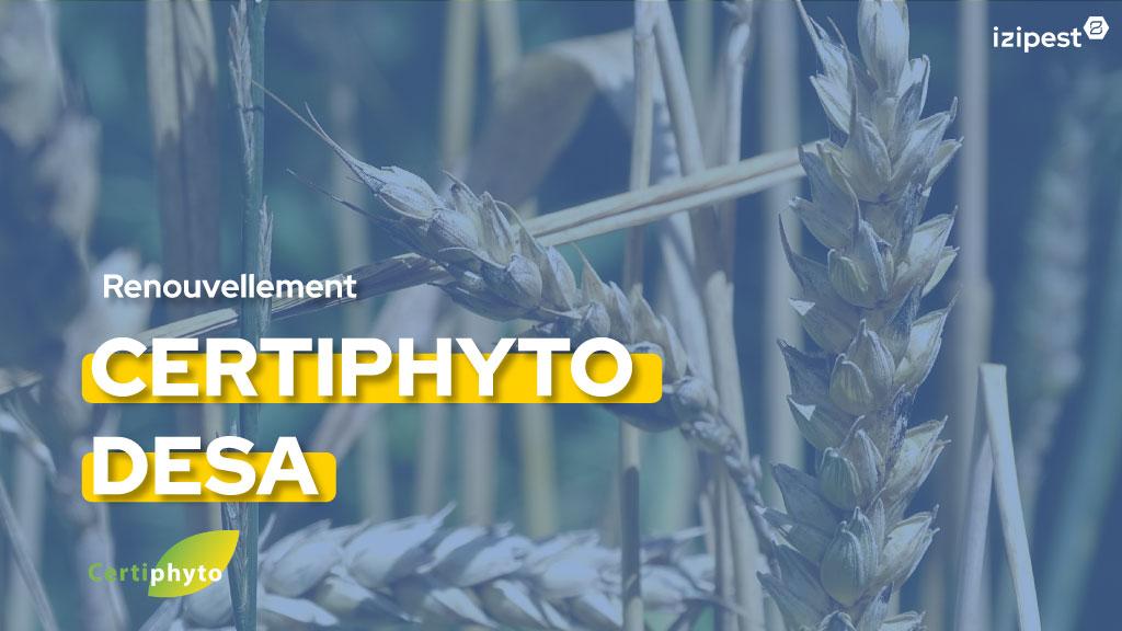 Bannière visuelle de présentation de la formation