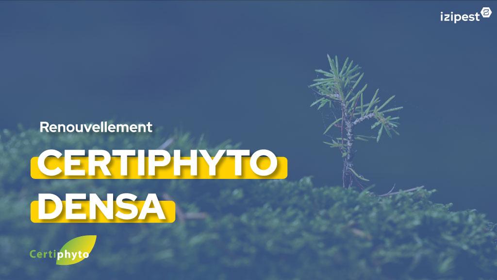 Bannière visuelle de présentation de la formation