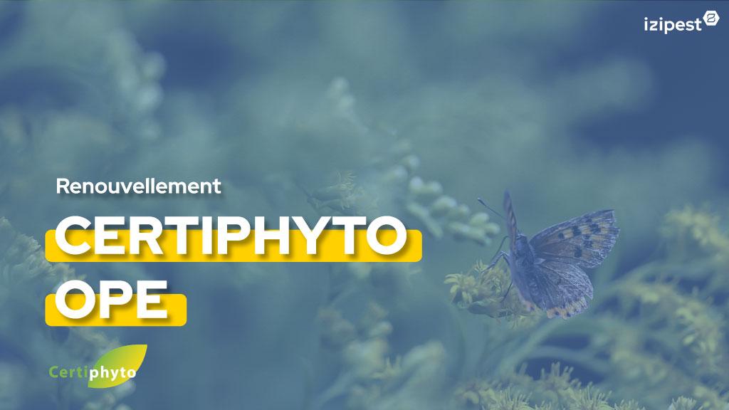 Bannière visuelle de présentation de la formation