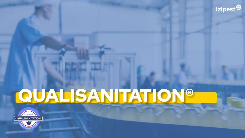 Bannière visuelle de présentation de la formation