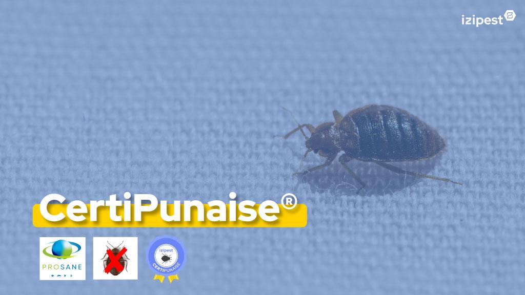 Bannière visuelle de présentation de la formation