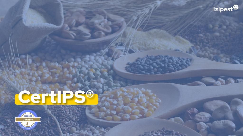 Bannière visuelle de présentation de la formation