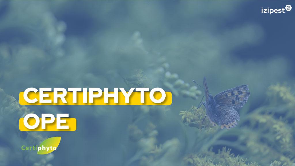 Bannière visuelle de présentation de la formation