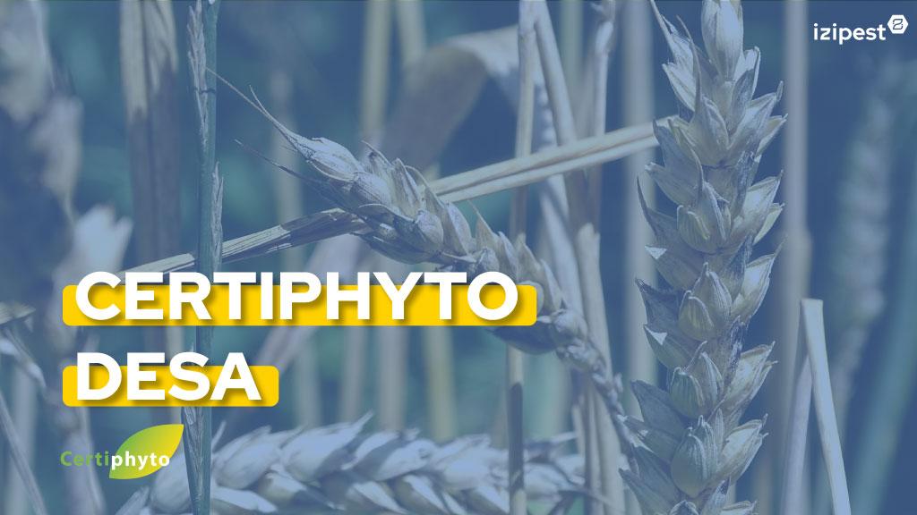 Bannière visuelle de présentation de la formation