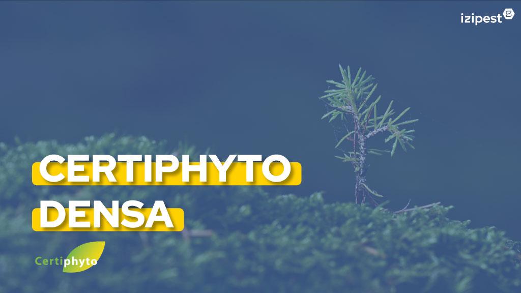 Bannière visuelle de présentation de la formation