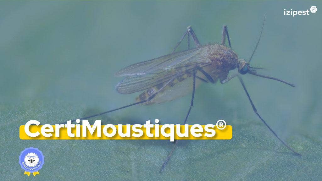 Bannière visuelle de présentation de la formation