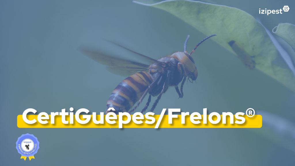 Bannière visuelle de présentation de la formation