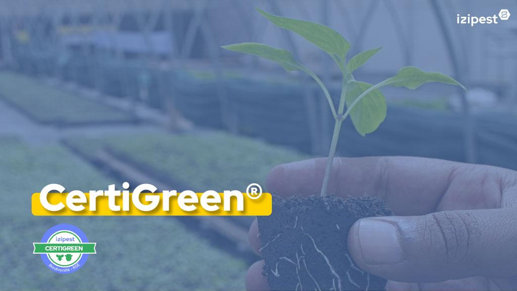 Bannière visuelle de présentation de la formation