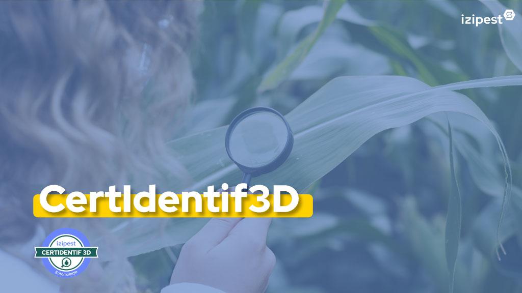 Bannière visuelle de présentation de la formation