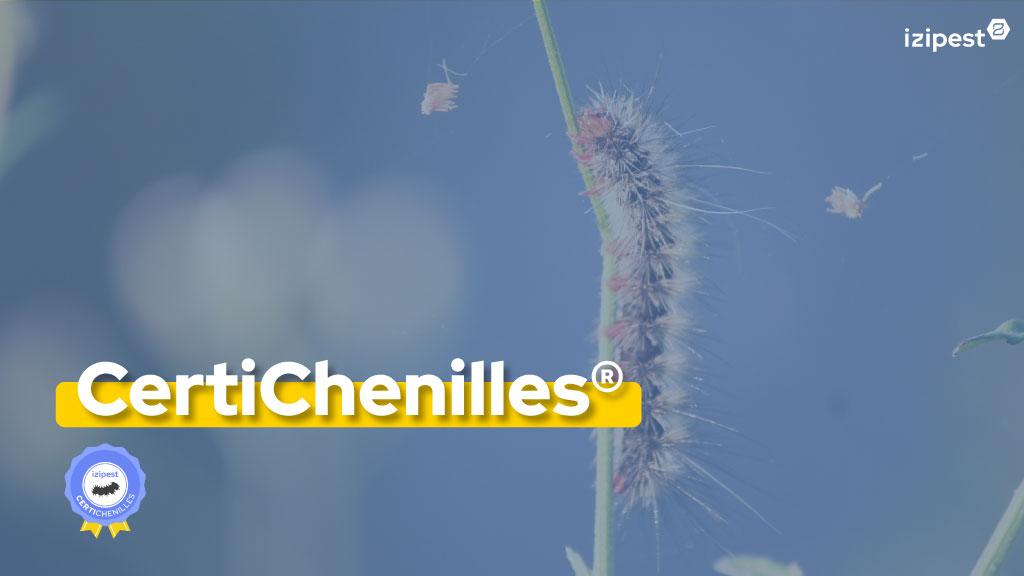 Bannière visuelle de présentation de la formation