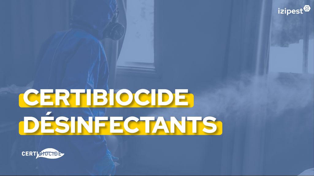 Bannière visuelle de présentation de la formation