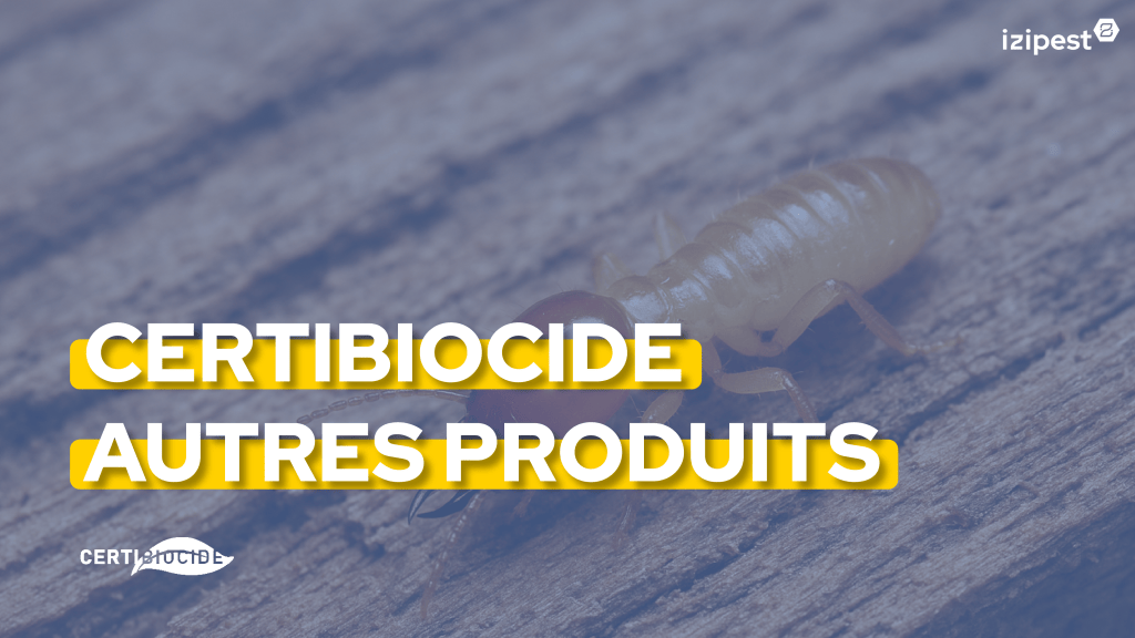 Bannière visuelle de présentation de la formation