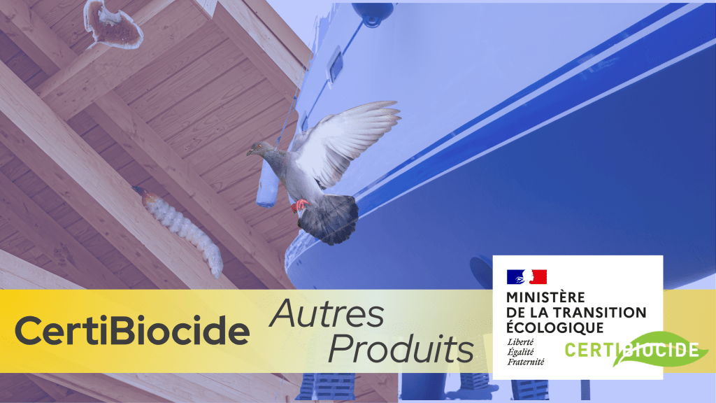 Bannière visuelle de présentation de la formation