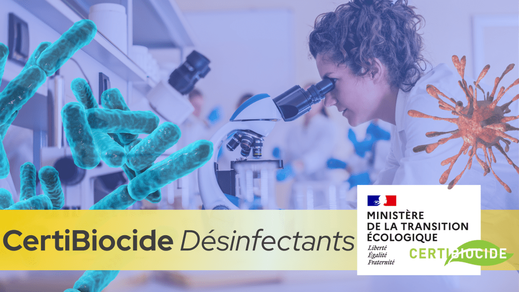 Bannière visuelle de présentation de la formation