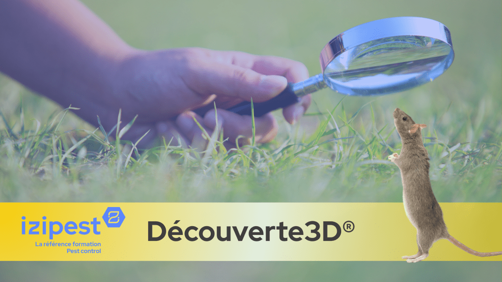 Bannière visuelle de présentation de la formation