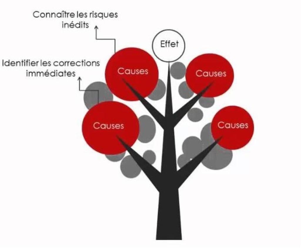 Bannière visuelle de présentation de la formation