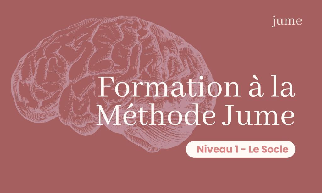 Bannière visuelle de présentation de la formation