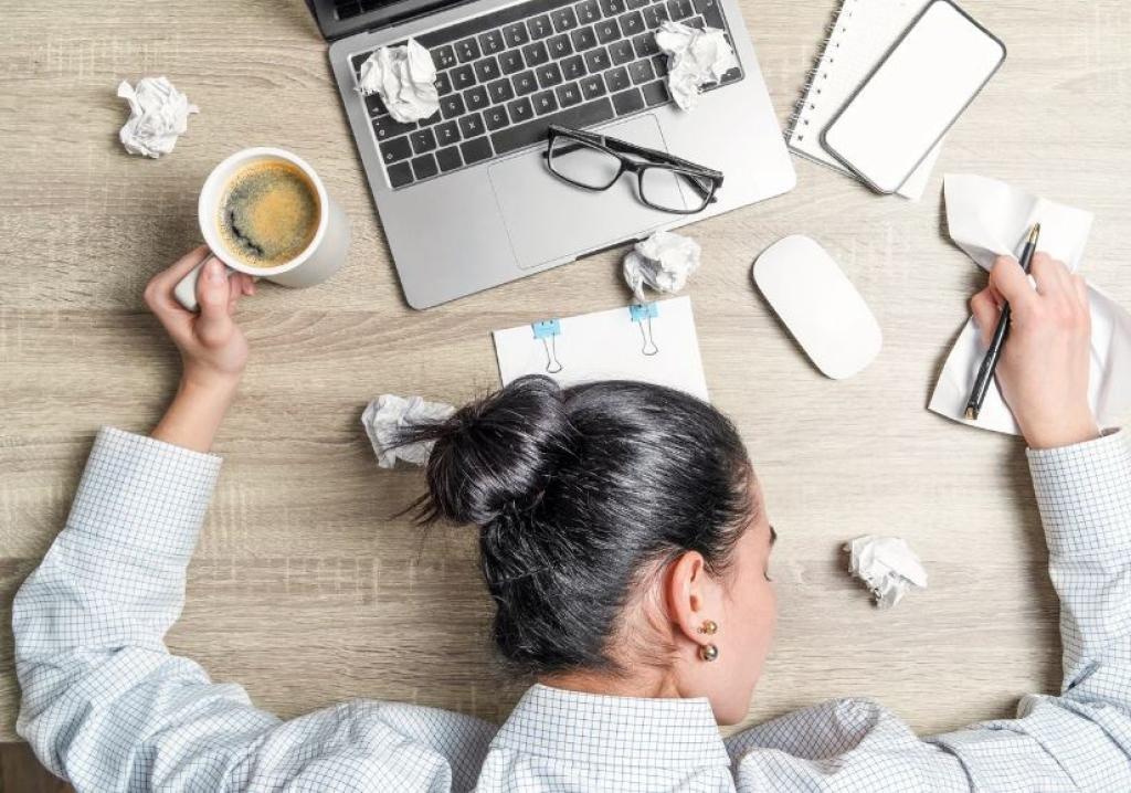 Bannière visuelle de présentation de la formation