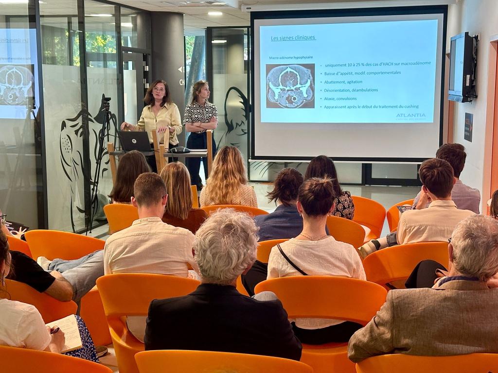 Bannière visuelle de présentation de la formation