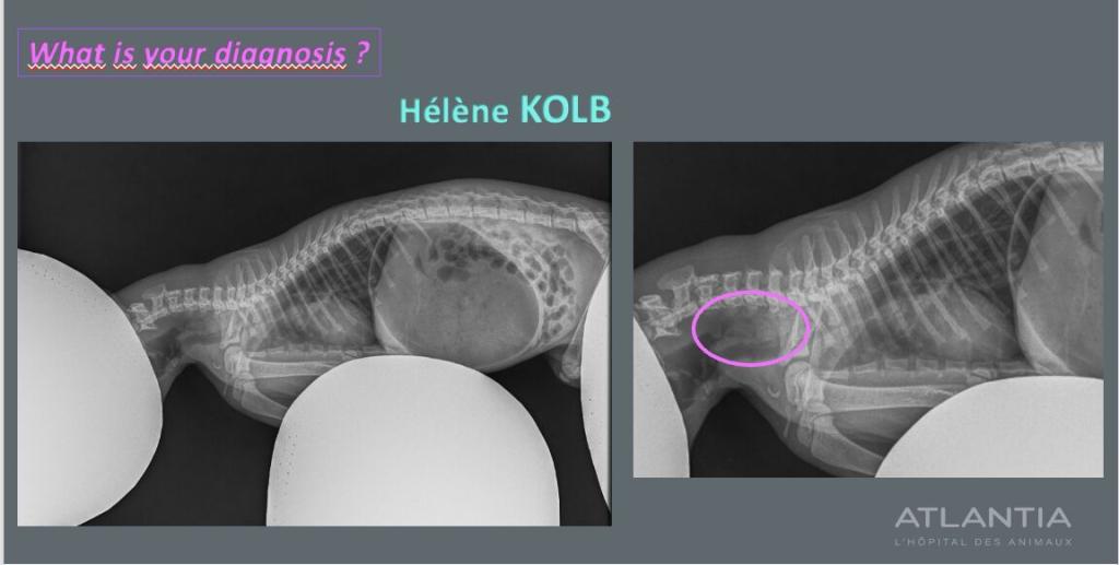 Bannière visuelle de présentation de la formation