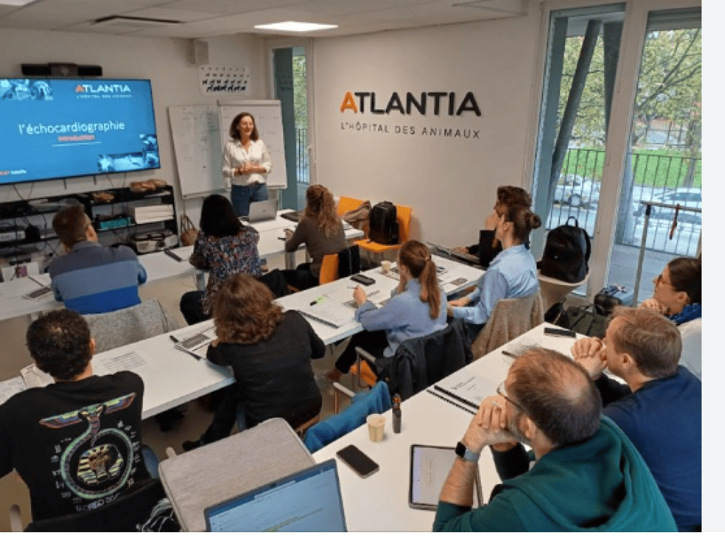 Bannière visuelle de présentation de la formation