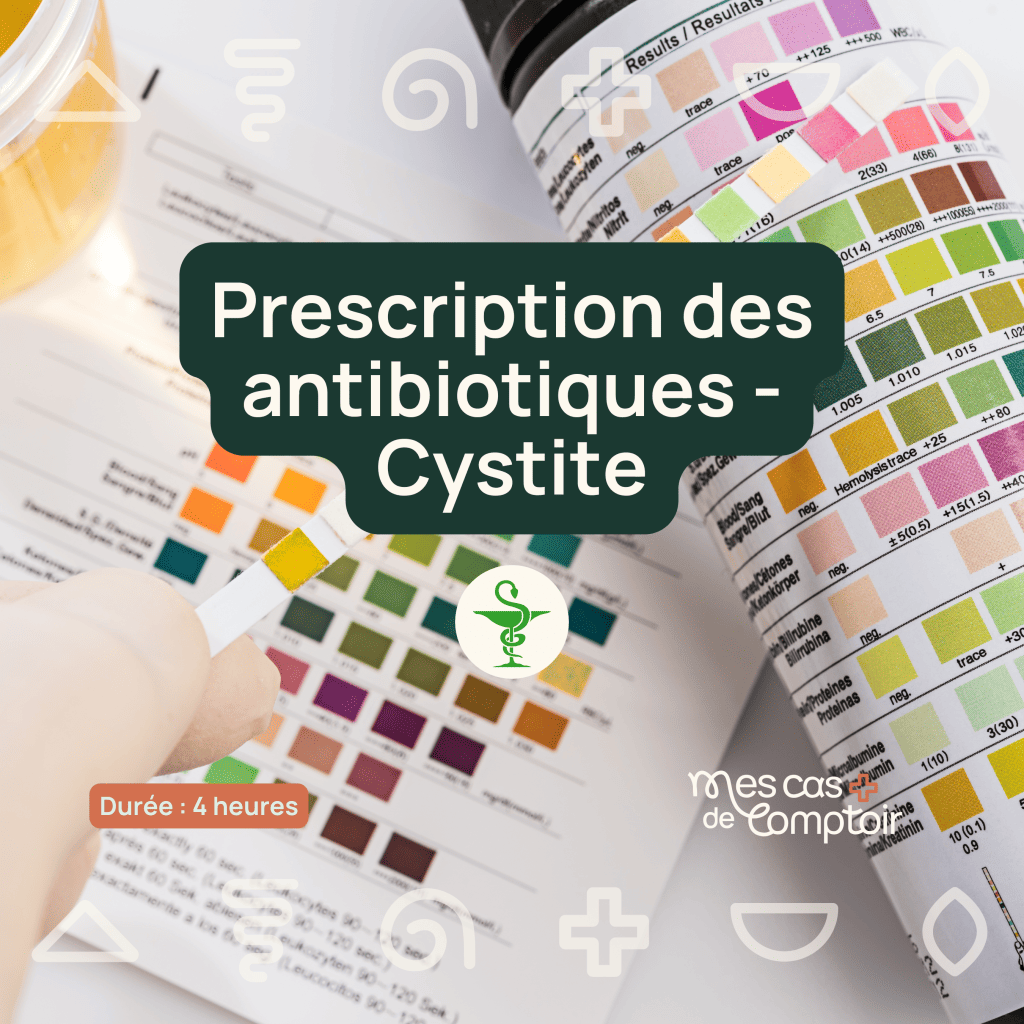 Bannière visuelle de présentation de la formation