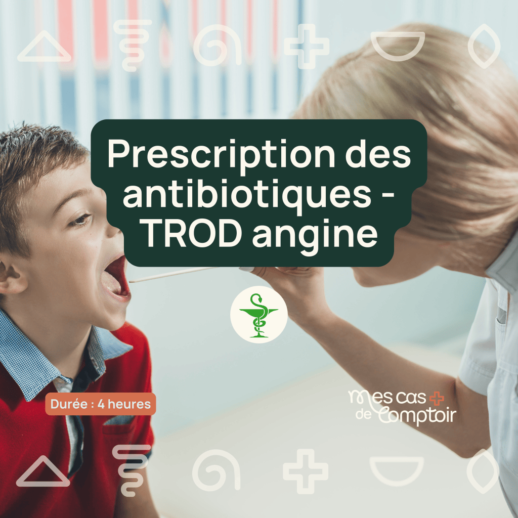 Bannière visuelle de présentation de la formation