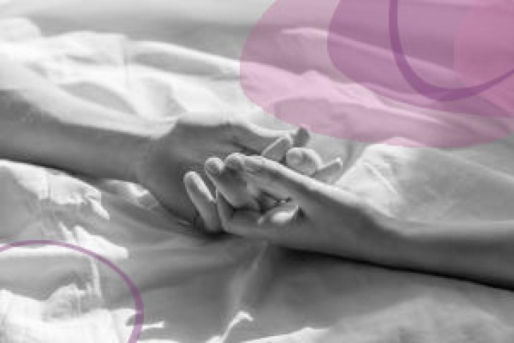 Bannière visuelle de présentation de la formation