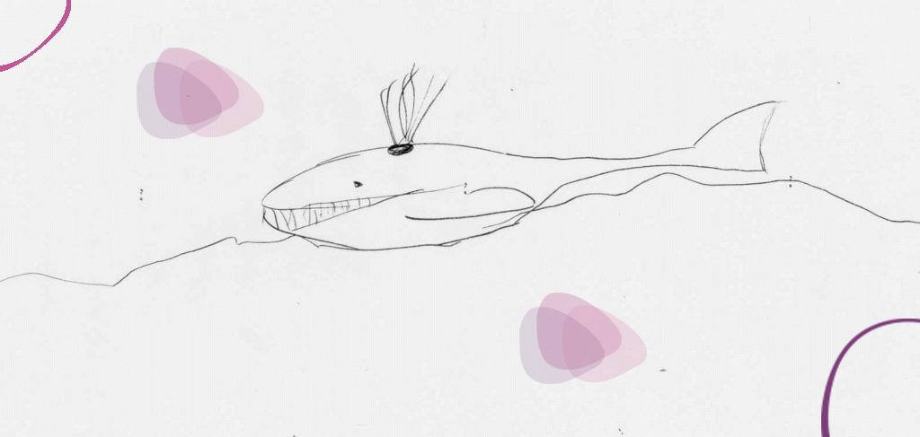 Bannière visuelle de présentation de la formation