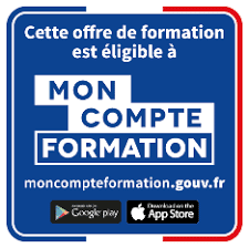 BADGE CGE