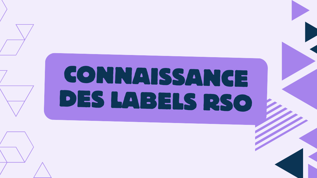 Bannière visuelle de présentation de la formation