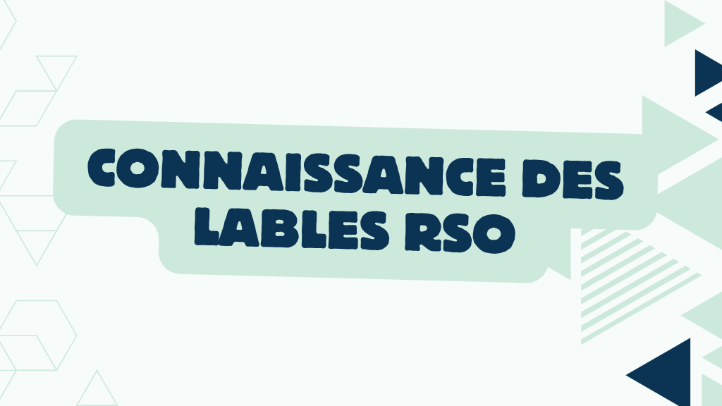 Bannière visuelle de présentation de la formation