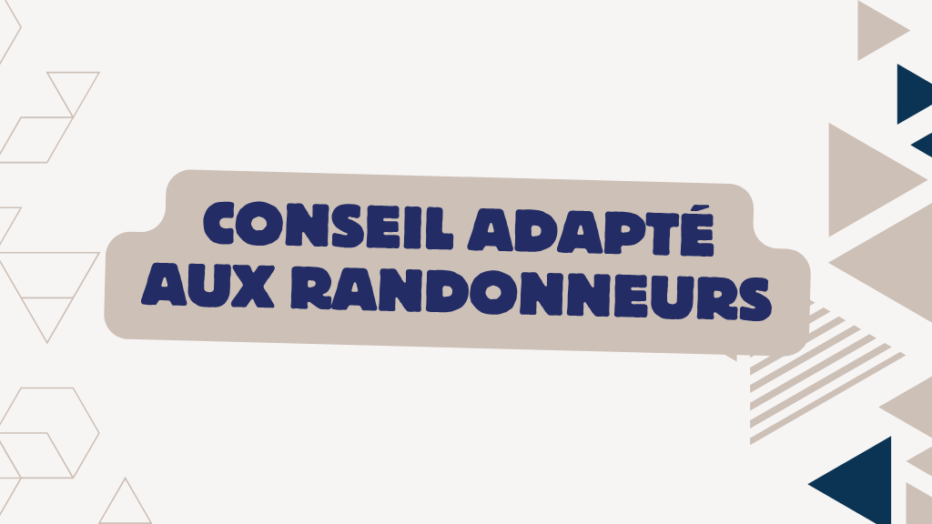 Bannière visuelle de présentation de la formation