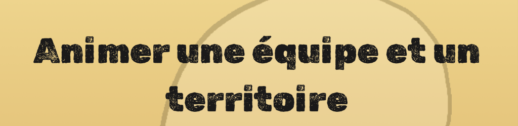 Bannière visuelle de présentation de la formation