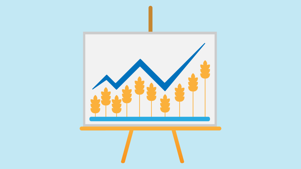 Bannière visuelle de présentation de la formation