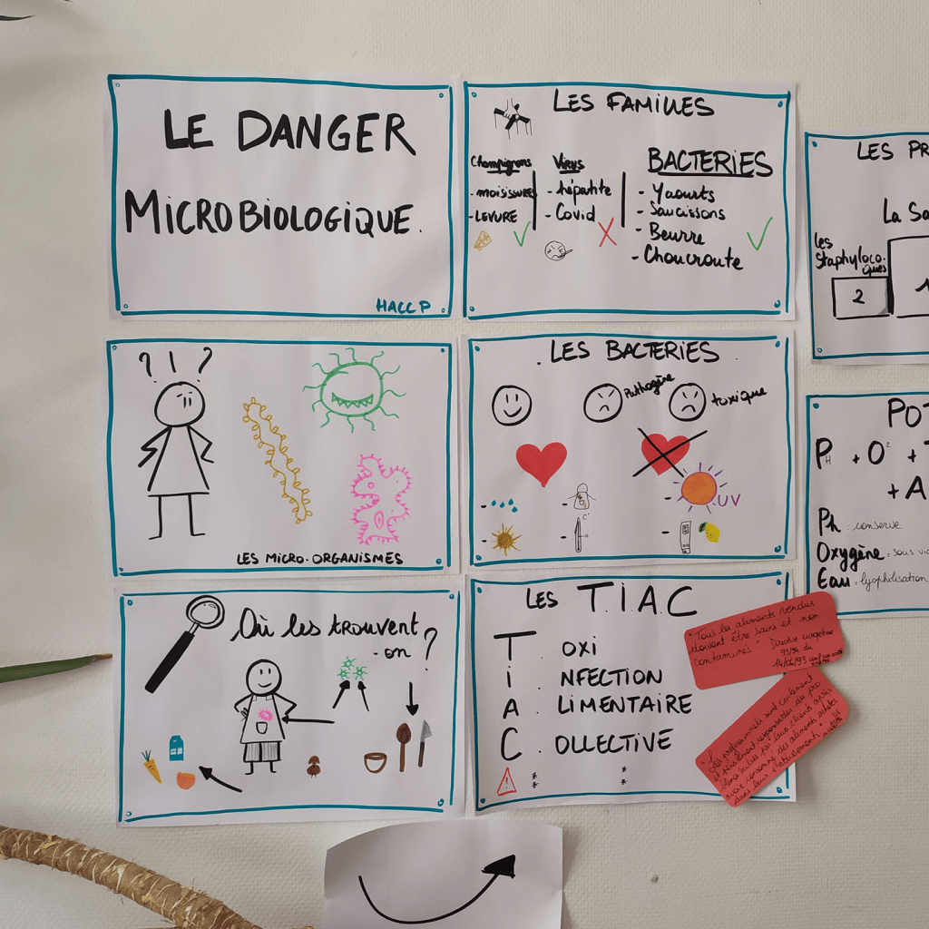 Bannière visuelle de présentation de la formation