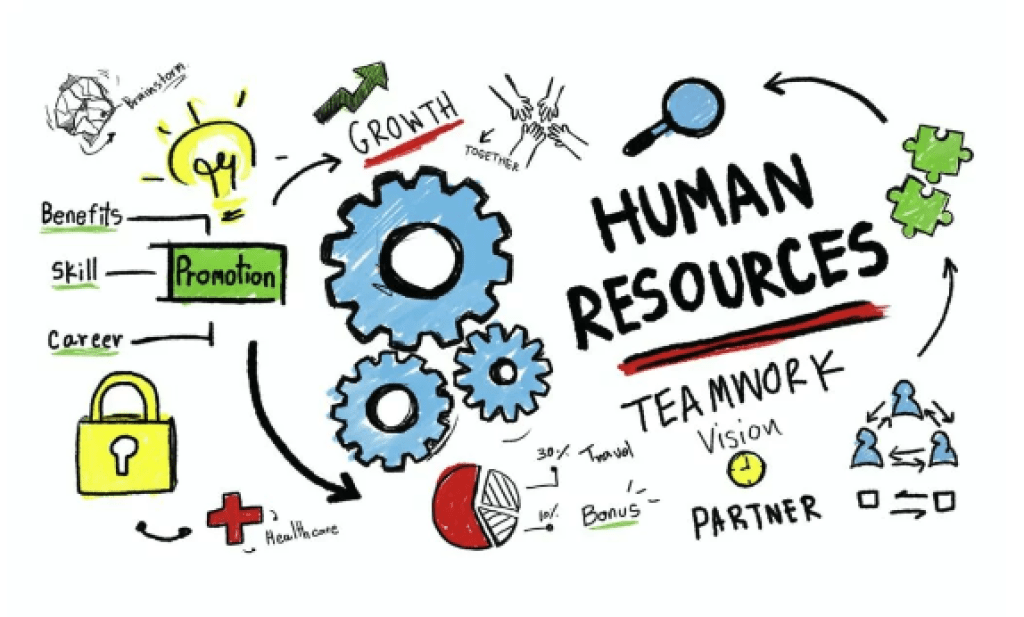 Bannière visuelle de présentation de la formation