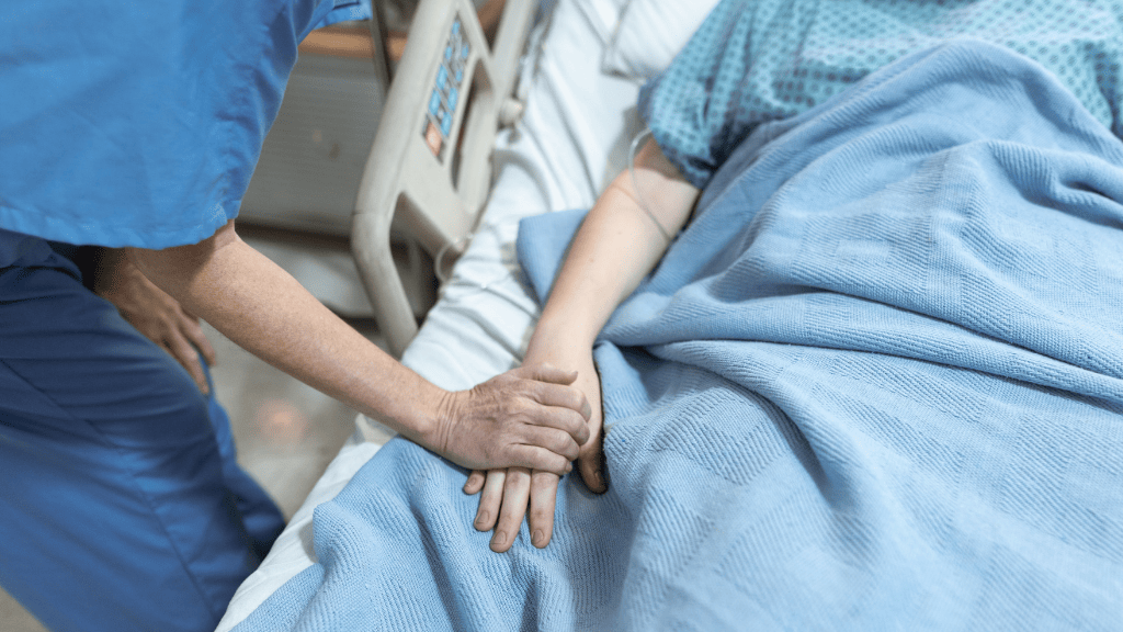 Bannière visuelle de présentation de la formation