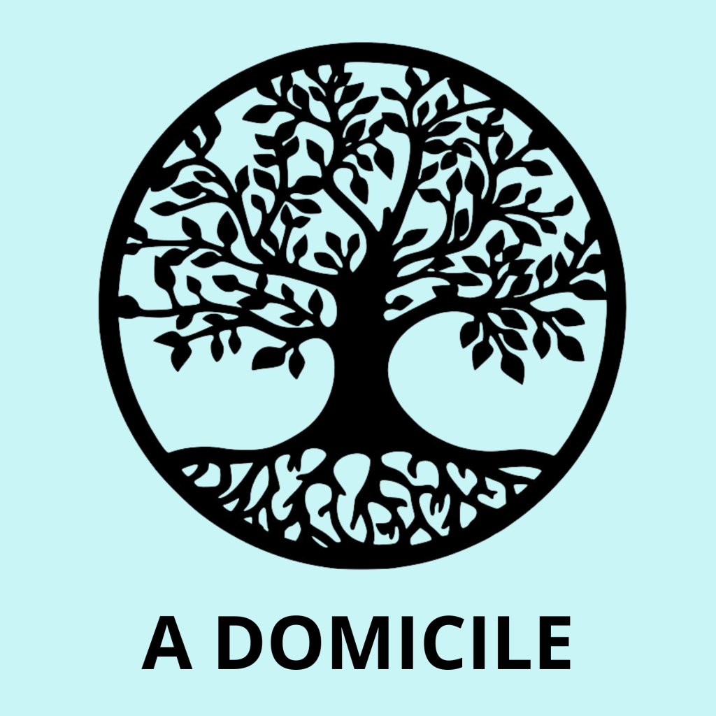 Bannière visuelle de présentation de la formation