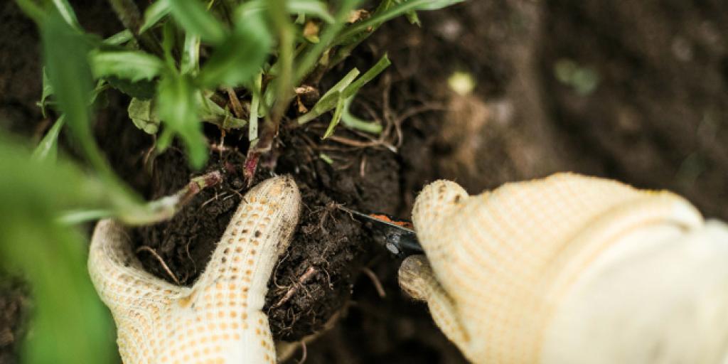 Bannière visuelle de présentation de la formation