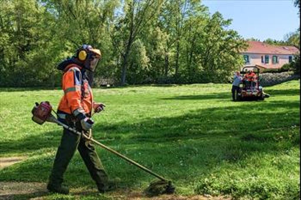 Bannière visuelle de présentation de la formation