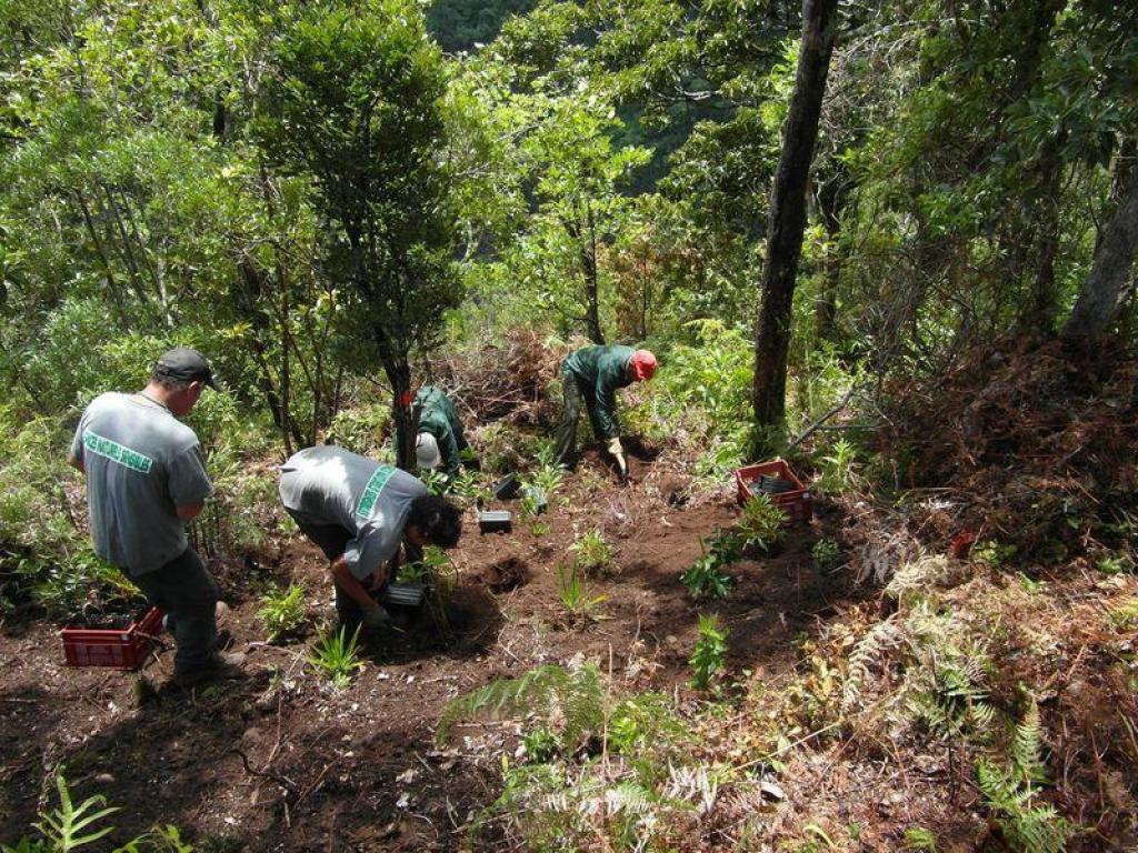 Bannière visuelle de présentation de la formation